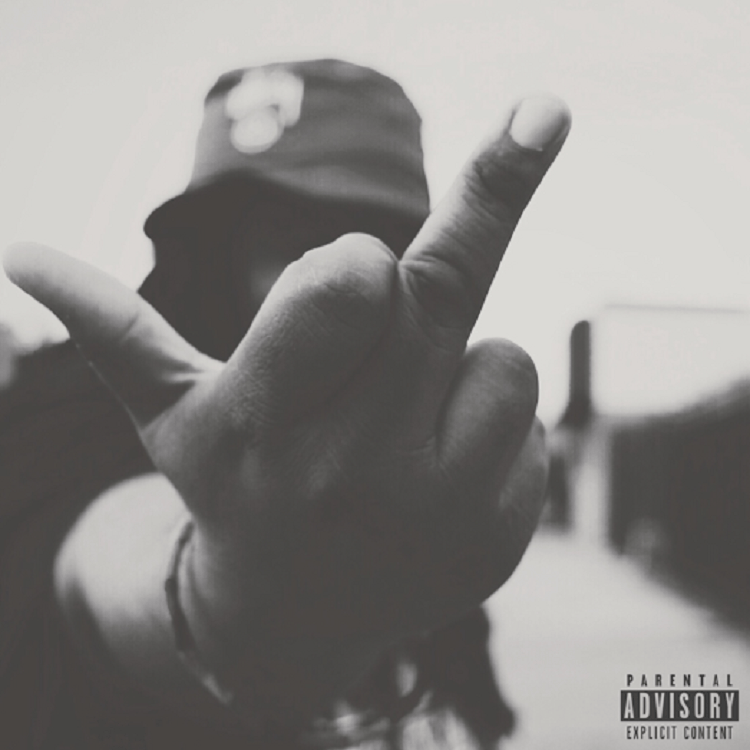 Album Alert: Nolan The Ninja – f-ck the&nbsp;hype.