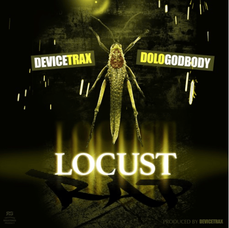 locust