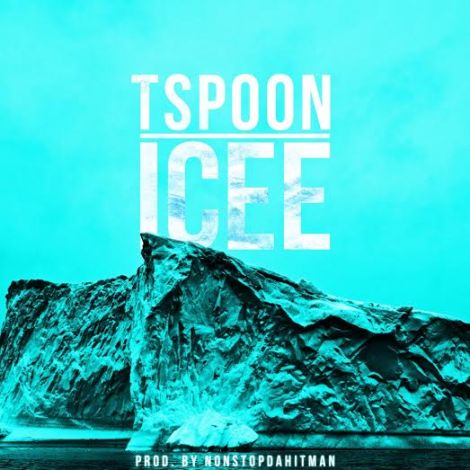 tspoon1