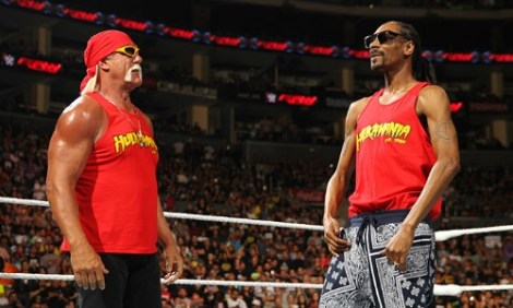hulksnoop