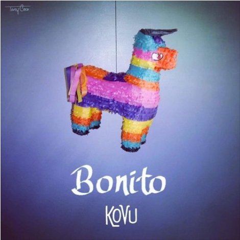 kovu1