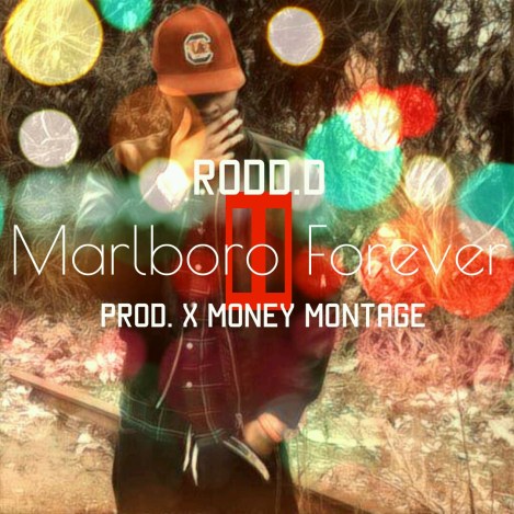 rodd