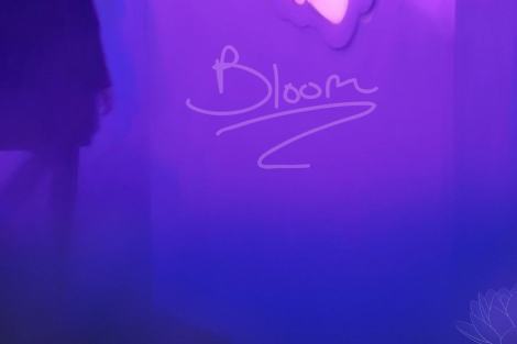 bloom